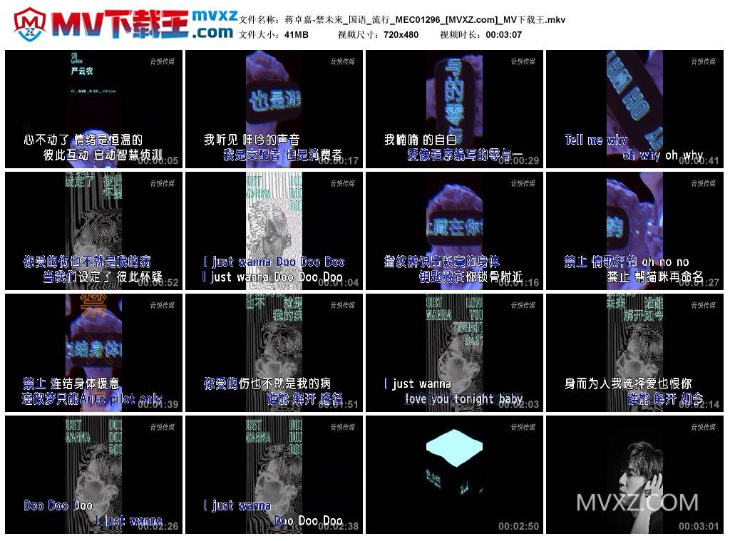 蒋卓嘉-禁未来_国语_流行_MEC01296
